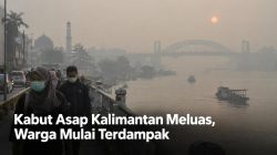 Kabut Asap Kalimantan Meluas, Warga Mulai Terdampak