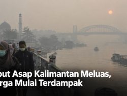 Kabut Asap Kalimantan Meluas, Warga Mulai Terdampak