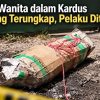 Kasus Wanita dalam Kardus Terungkap, Pelaku Ditangkap