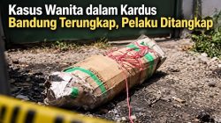 Kasus Wanita dalam Kardus Terungkap, Pelaku Ditangkap