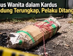 Kasus Wanita dalam Kardus Terungkap, Pelaku Ditangkap